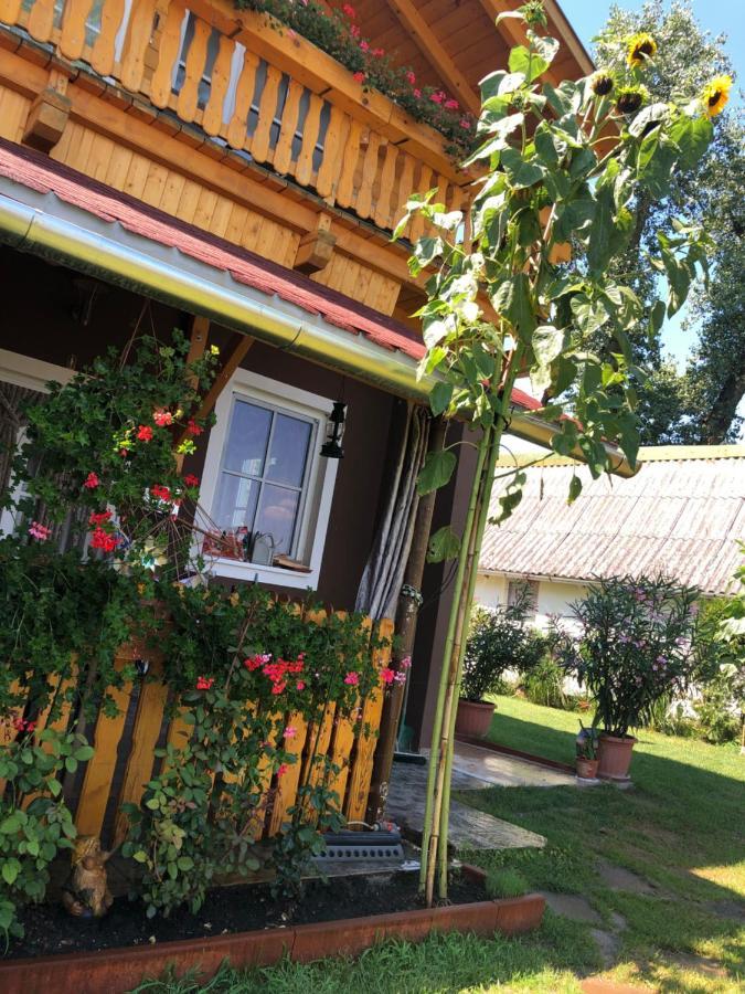 Hero 4 Sterne Ferienhaus Baja Eksteriør billede